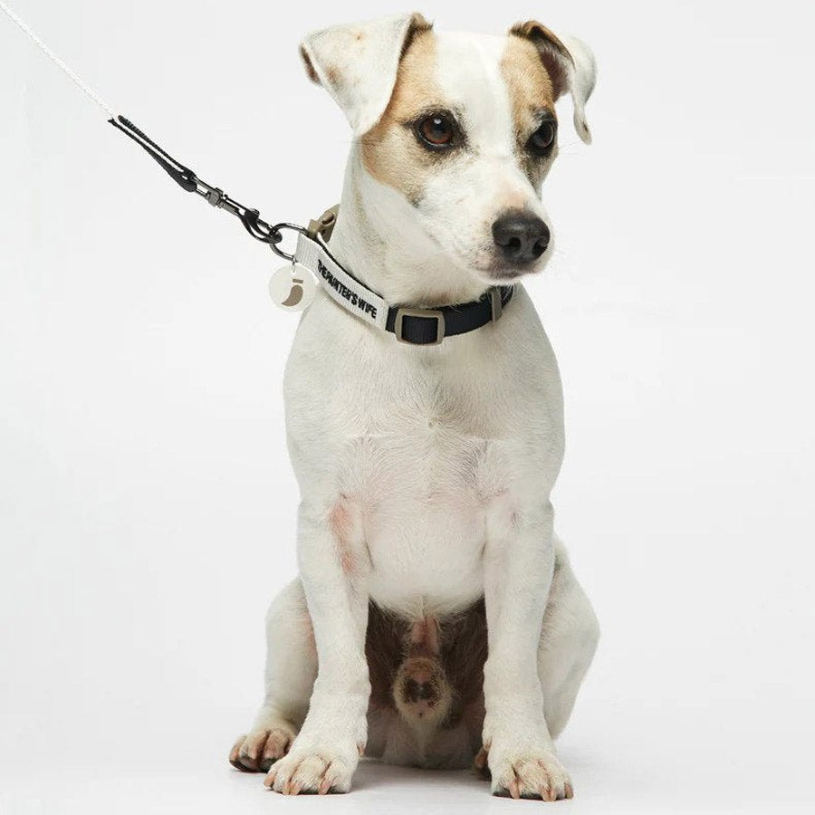 SONIA LEASH by THE PAINTER'S WIFE (NAVY BLUE AND WHITE)