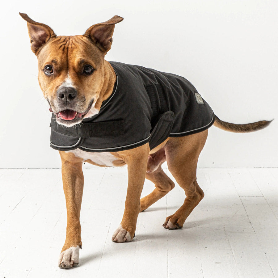 Blanket Dog Jacket by GF PET DS