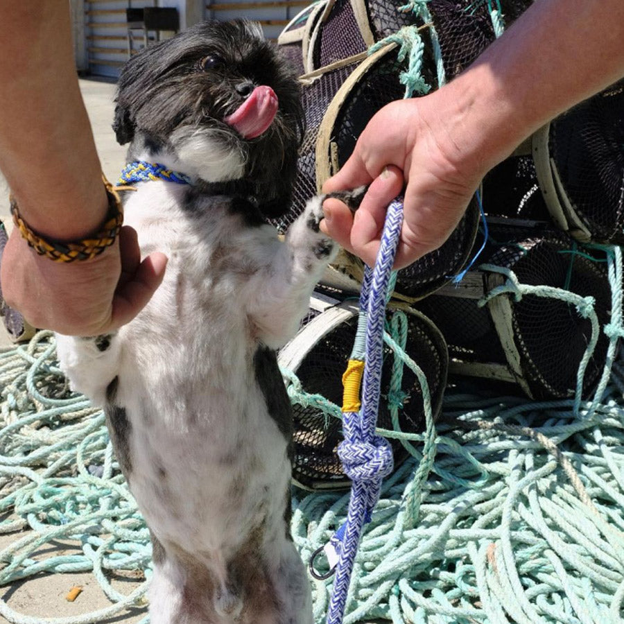 CORME CLASSIC DOG LEASH by THE PAINTER'S WIFE (BLUE)