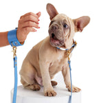 Load image into Gallery viewer, TinTin Dog Bracelet with Leash By Moshiqa
