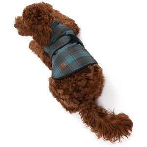 Tartan Raincoat by POLDO DOG COUTURE DS (GREEN STRIPES )