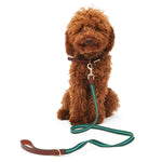 Load image into Gallery viewer, Gressoney Leash by POLDO DOG COUTURE DS (GREEN )
