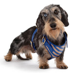 Load image into Gallery viewer, Striped Harness by POLDO DOG COUTURE DS
