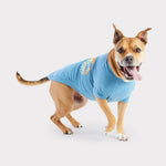 Load image into Gallery viewer, Graphic Tee Dog T-Shirt By GF PET DS
