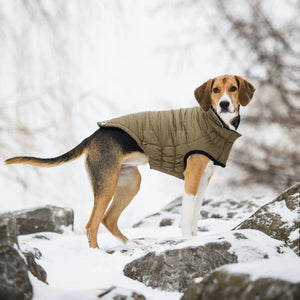REVERSIBLE CHALET DOG JACKET by GF PET DS (KHAKI)