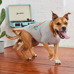 Load image into Gallery viewer, Graphic Tee Dog T-Shirt By GF PET DS
