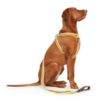 Load image into Gallery viewer, Gressoney Leash by POLDO DOG COUTURE DS (YELLOW )
