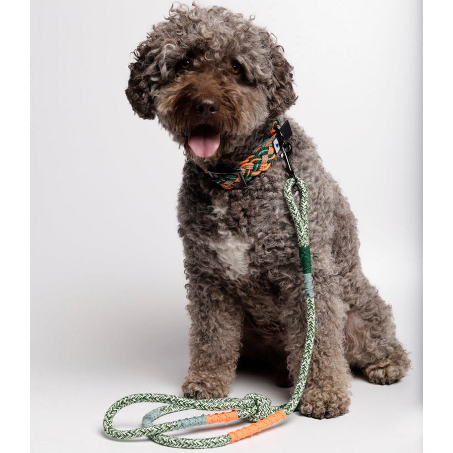 CORME CLASSIC DOG LEASH by THE PAINTER'S WIFE (GREEN)