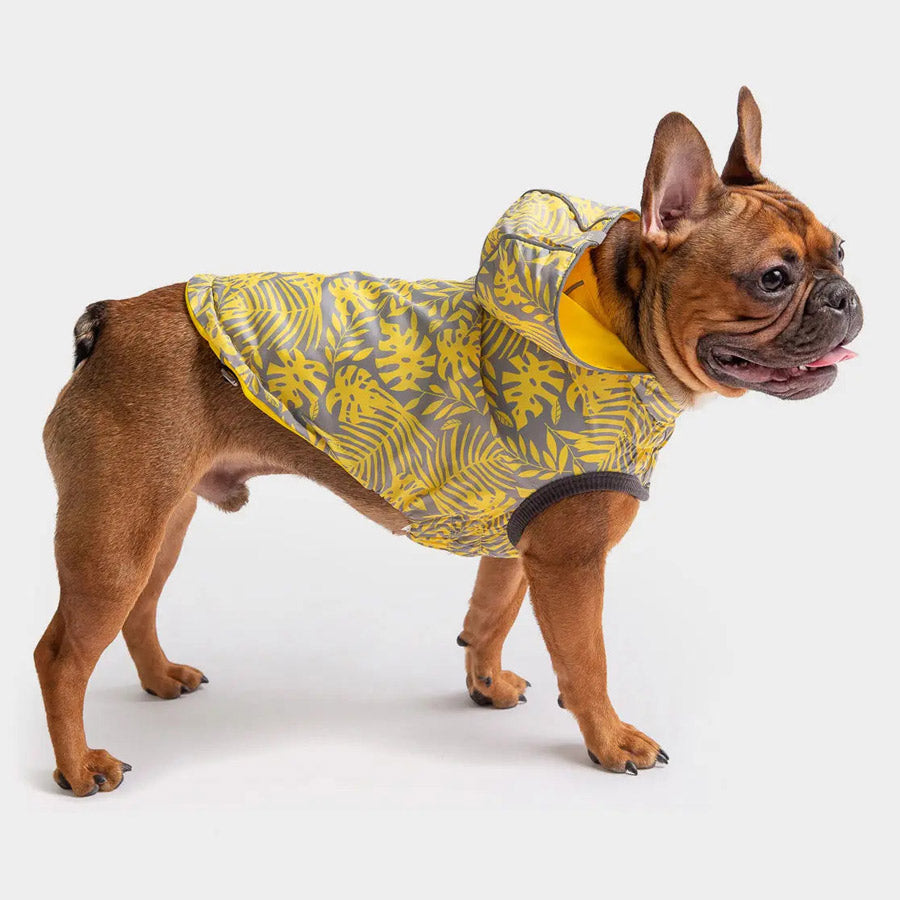 Reversible Dog Raincoat By GF PET DS