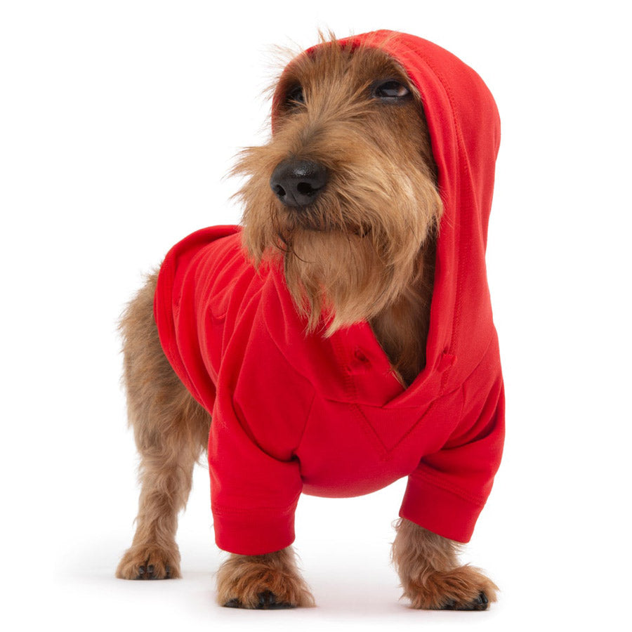 Pop Fleece by POLDO DOG COUTURE DS (RED )