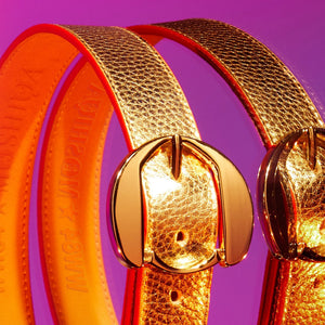 Golden Dog Collar of Loyalty By Moshiqa DS