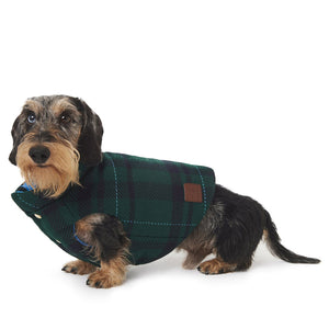 Trento Wool by POLDO DOG COUTURE DS (DARK GREEN )