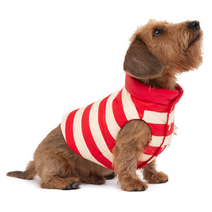 Boom Gilet by POLDO DOG COUTURE DS (RED )