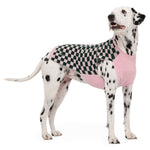 Load image into Gallery viewer, Soul Sweater by POLDO DOG COUTURE DS (BLACK CARO PINK )
