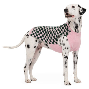 Soul Sweater by POLDO DOG COUTURE DS (BLACK CARO PINK )