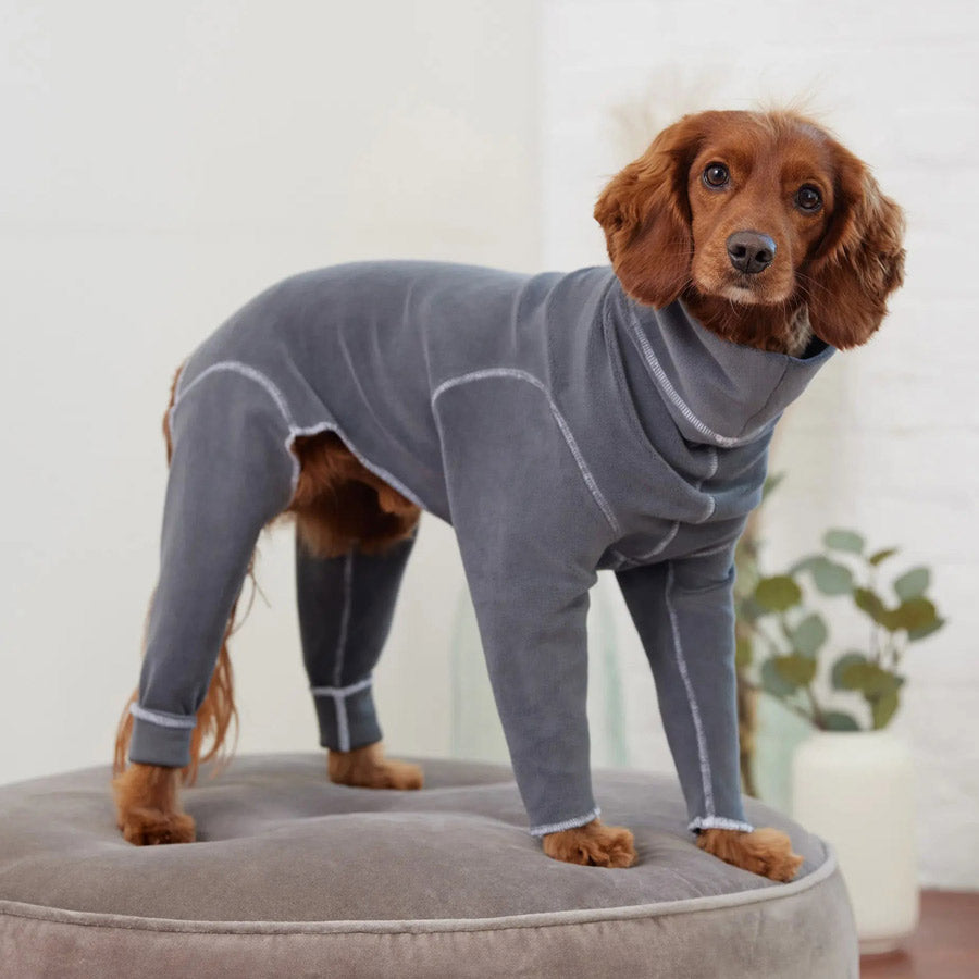 Gondola Dog Onesie by GF PET DS (Grey)