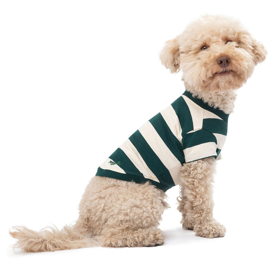 Calypso T-Shirt by POLDO DOG COUTURE DS (GREEN STRIPES )