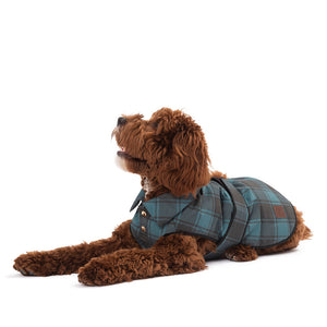 Tartan Raincoat by POLDO DOG COUTURE DS (GREEN STRIPES )