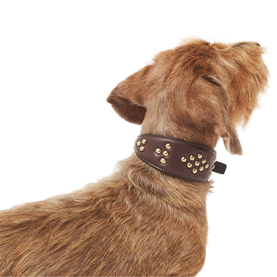 Leather Greyhound Collar by POLDO DOG COUTURE DS (BROWN )