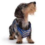 Load image into Gallery viewer, Striped Harness by POLDO DOG COUTURE DS
