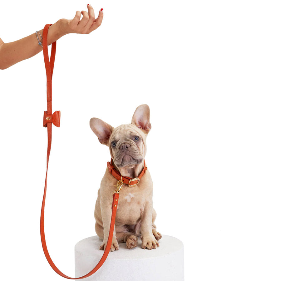 Bisou Dog Leash By Moshiqa