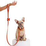 Load image into Gallery viewer, Bisou Dog Leash By Moshiqa
