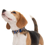 Load image into Gallery viewer, Striped Collar by POLDO DOG COUTURE DS
