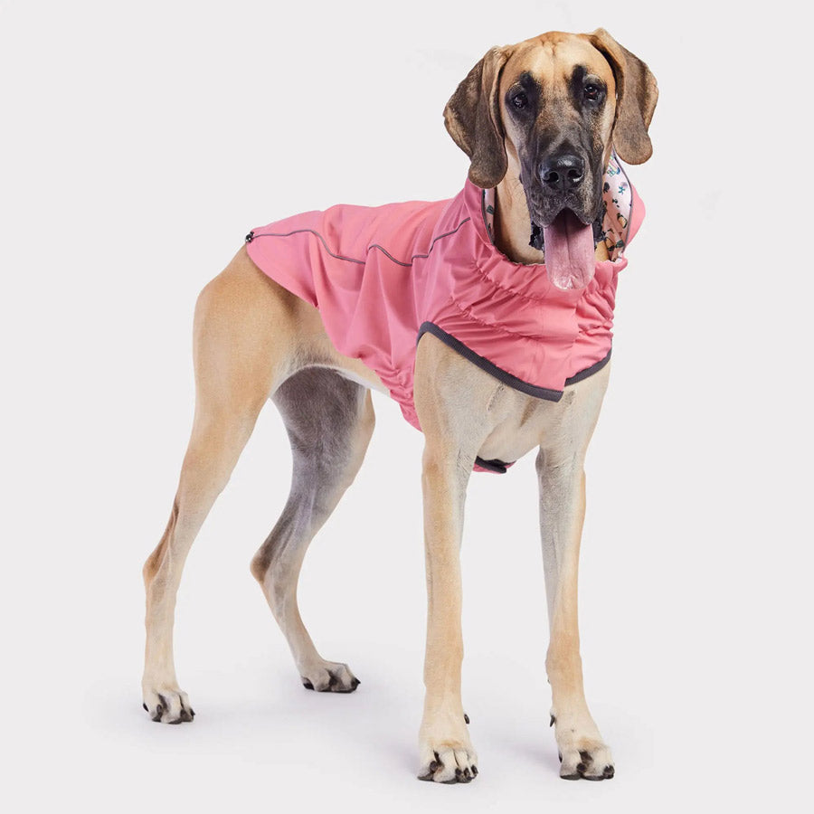 Reversible Dog Raincoat By GF PET DS