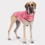 Load image into Gallery viewer, Reversible Dog Raincoat By GF PET DS
