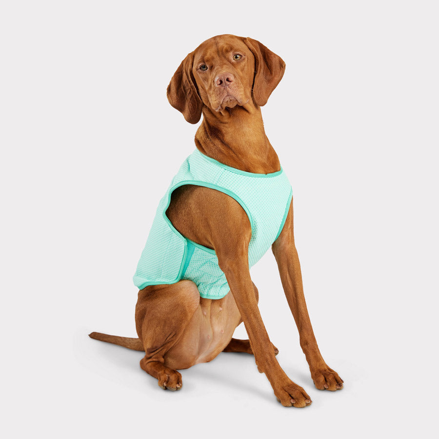 Dog Cooling Vest by GF PET DA