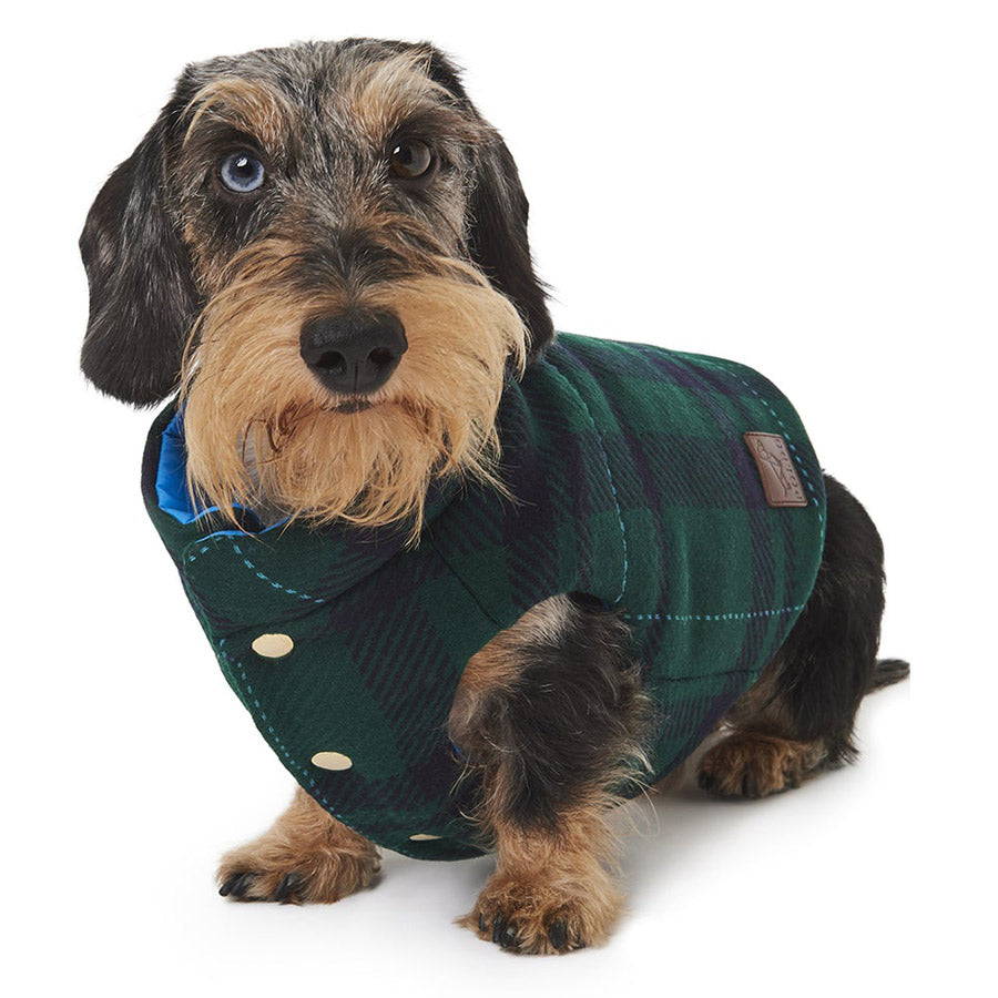 Trento Wool by POLDO DOG COUTURE DS (DARK GREEN )