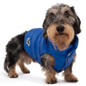 Boom Gilet by POLDO DOG COUTURE DS (BLUE )