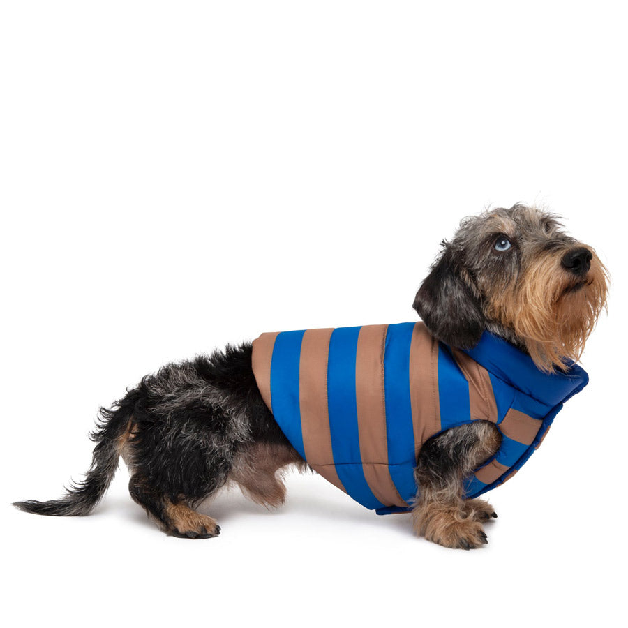 Boom Gilet by POLDO DOG COUTURE DS (BLUE )