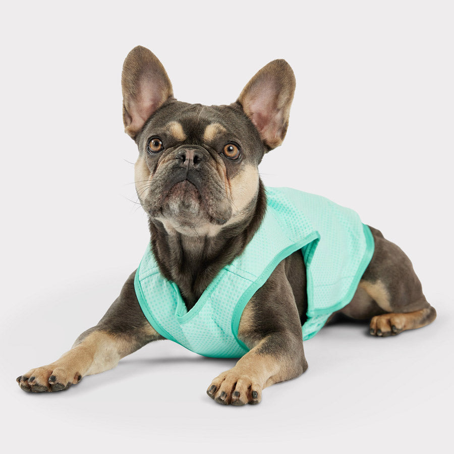 Dog Cooling Vest by GF PET DA