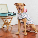 Load image into Gallery viewer, Reversible Dog Raincoat By GF PET DS
