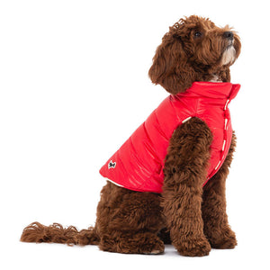 Boom Gilet by POLDO DOG COUTURE DS (RED )