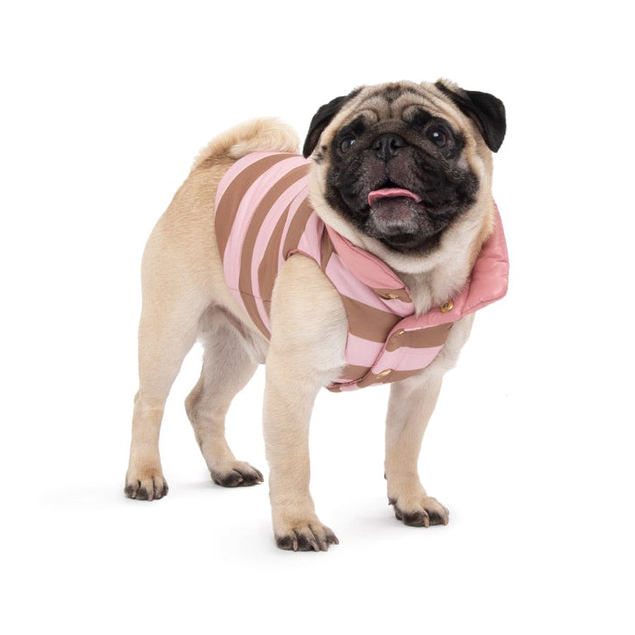 Boom Gilet by POLDO DOG COUTURE DS (PINK )