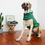 Load image into Gallery viewer, Reversible Dog Raincoat By GF PET DS
