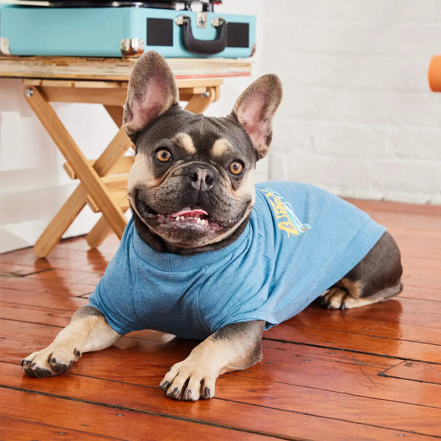 Graphic Tee Dog T-Shirt By GF PET DS