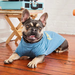 Load image into Gallery viewer, Graphic Tee Dog T-Shirt By GF PET DS
