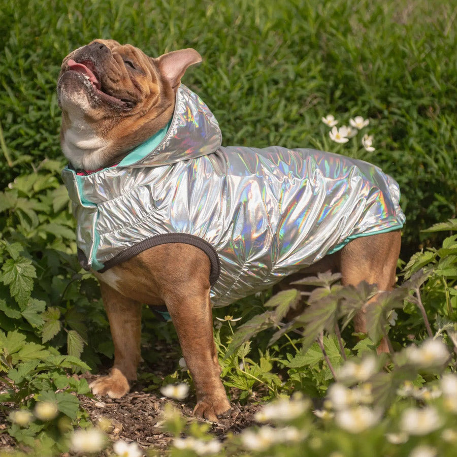 Reversible Dog Raincoat By GF PET DS