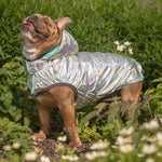 Load image into Gallery viewer, Reversible Dog Raincoat By GF PET DS
