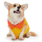 Load image into Gallery viewer, Double Face Coat by POLDO DOG COUTURE DS (ORGANE )
