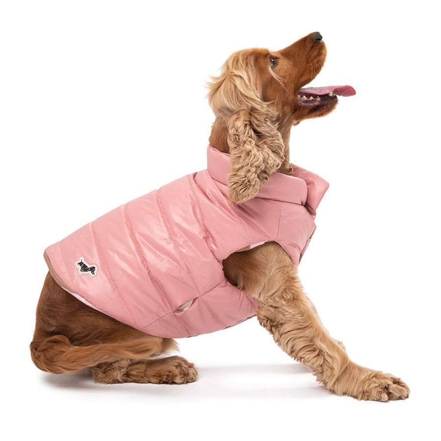 Boom Gilet by POLDO DOG COUTURE DS (PINK )