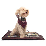 Load image into Gallery viewer, Poldo X Rubinacci Portable Bed by POLDO DOG COUTURE DS (RED )
