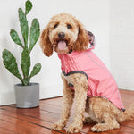 Load image into Gallery viewer, Reversible Dog Raincoat By GF PET DS
