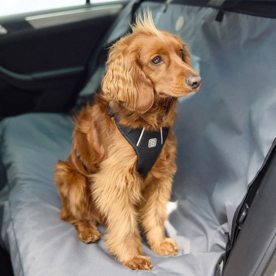 Dog Travel Harness By GFPET