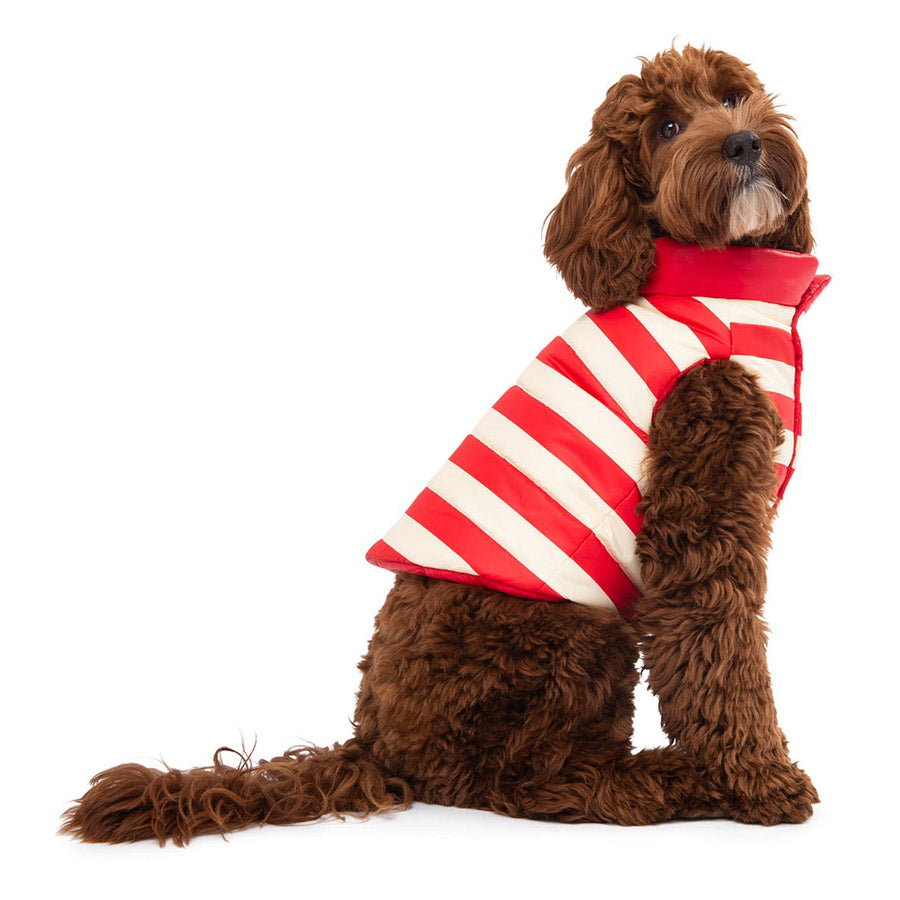 Boom Gilet by POLDO DOG COUTURE DS (RED )