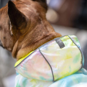 Reversible Dog Raincoat By GF PET DS