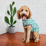 Load image into Gallery viewer, Reversible Dog Raincoat By GF PET DS
